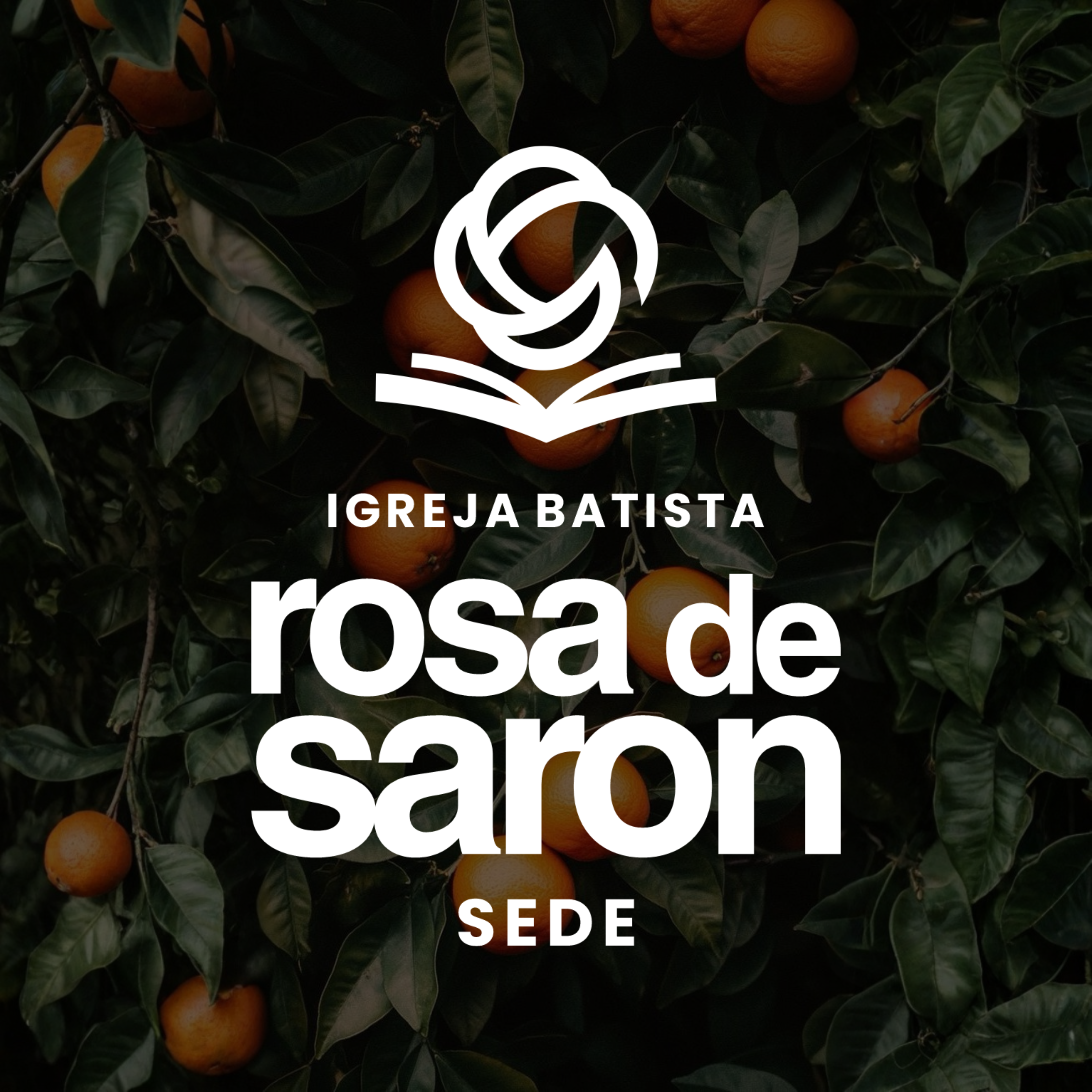 IBRS SEDE